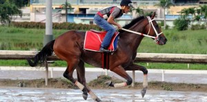 crop_registro_briseo_1