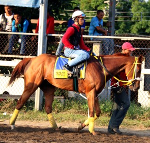 DON CARLOS R
