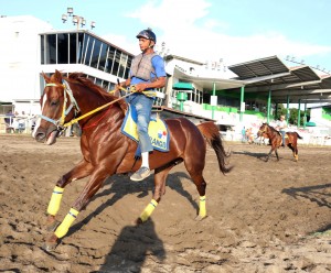 SALUSTIO (1)