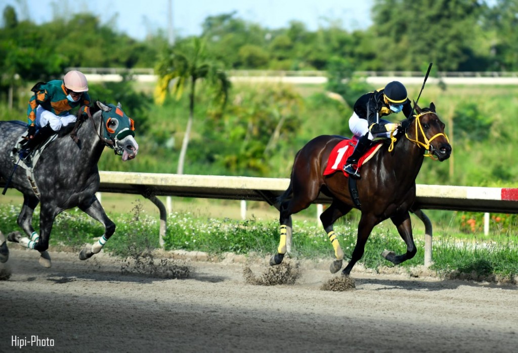 IMG-20210110-WA0107 (1)